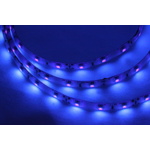 LED pásek 3528 1m 60LED/m 4,8W/m ultrafialový interní