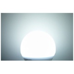 LED žárovka E14 6W - studená bílá